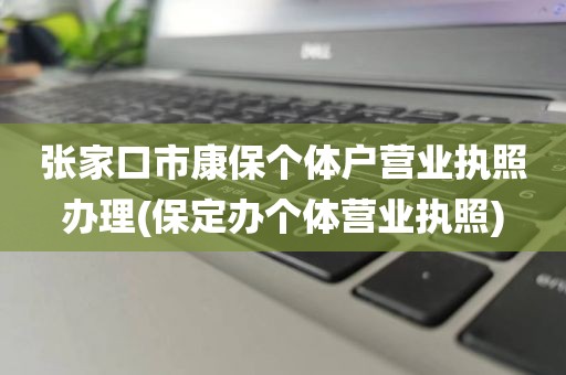 张家口市康保个体户营业执照办理(保定办个体营业执照)