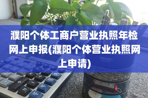濮阳个体工商户营业执照年检网上申报(濮阳个体营业执照网上申请)