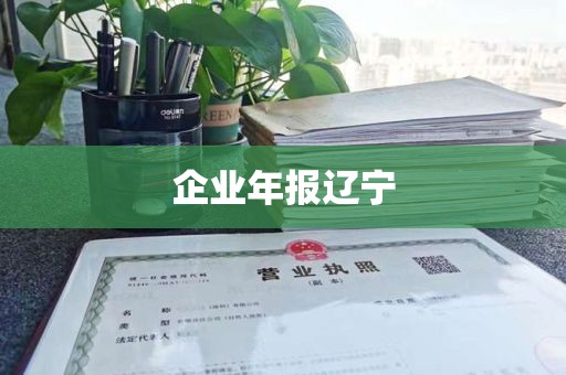 企业年报辽宁