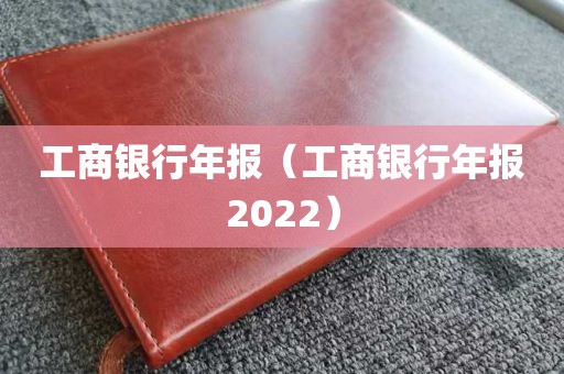 工商银行年报（工商银行年报2022）