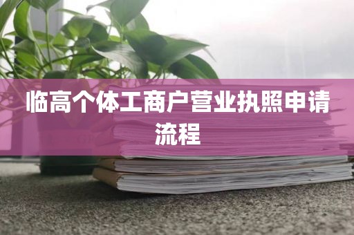 临高个体工商户营业执照申请流程