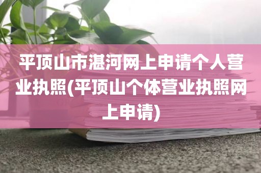 平顶山市湛河网上申请个人营业执照(平顶山个体营业执照网上申请)