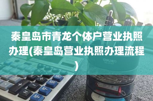 秦皇岛市青龙个体户营业执照办理(秦皇岛营业执照办理流程)