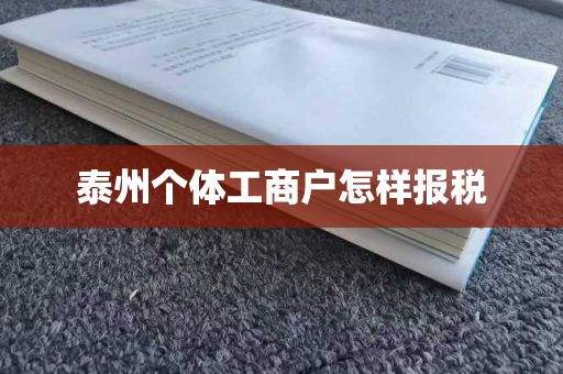 泰州个体工商户怎样报税
