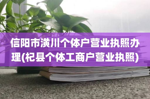 信阳市潢川个体户营业执照办理(杞县个体工商户营业执照)