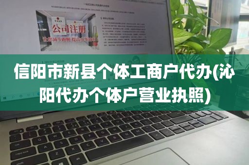 信阳市新县个体工商户代办(沁阳代办个体户营业执照)
