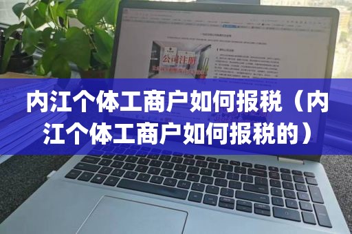 内江个体工商户如何报税（内江个体工商户如何报税的）