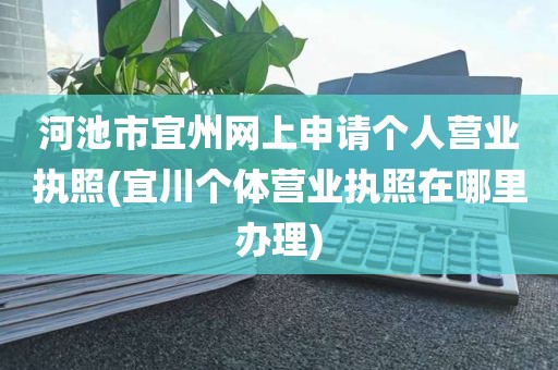 河池市宜州网上申请个人营业执照(宜川个体营业执照在哪里办理)