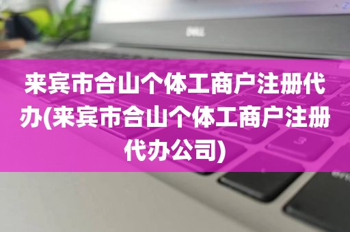 来宾市合山个体工商户注册代办(来宾市合山个体工商户注册代办公司)