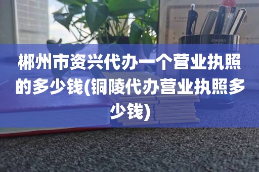 郴州市资兴代办一个营业执照的多少钱(铜陵代办营业执照多少钱)