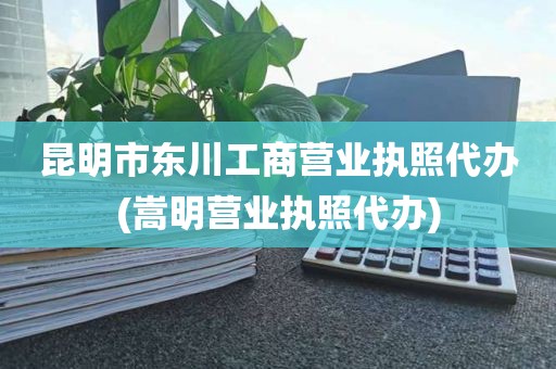 昆明市东川工商营业执照代办(嵩明营业执照代办)