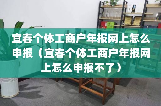 宜春个体工商户年报网上怎么申报（宜春个体工商户年报网上怎么申报不了）