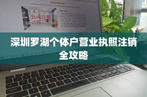 深圳罗湖个体户营业执照注销全攻略