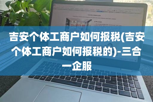吉安个体工商户如何报税(吉安个体工商户如何报税的)-三合一企服