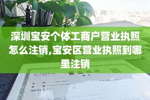深圳宝安个体工商户营业执照怎么注销,宝安区营业执照到哪里注销