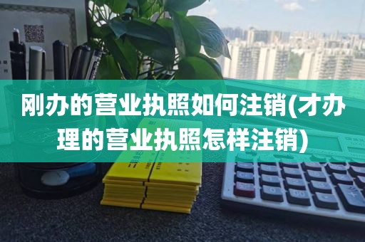 刚办的营业执照如何注销(才办理的营业执照怎样注销)