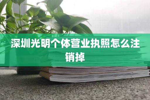 深圳光明个体营业执照怎么注销掉