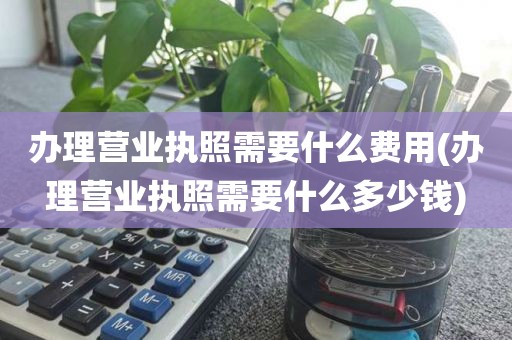办理营业执照需要什么费用(办理营业执照需要什么多少钱)