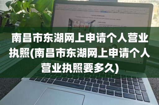 南昌市东湖网上申请个人营业执照(南昌市东湖网上申请个人营业执照要多久)