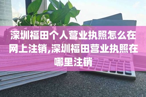 深圳福田个人营业执照怎么在网上注销,深圳福田营业执照在哪里注销