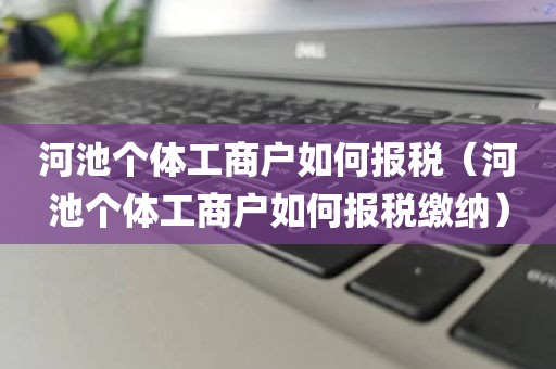 河池个体工商户如何报税（河池个体工商户如何报税缴纳）