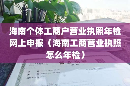 海南个体工商户营业执照年检网上申报（海南工商营业执照怎么年检）