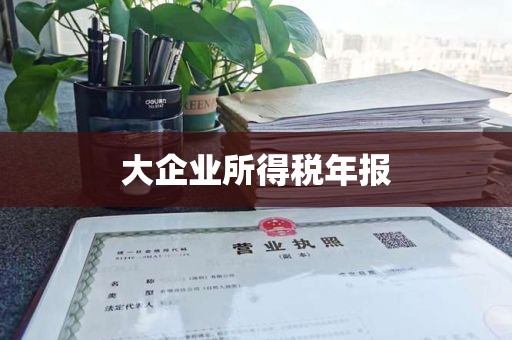 大企业所得税年报