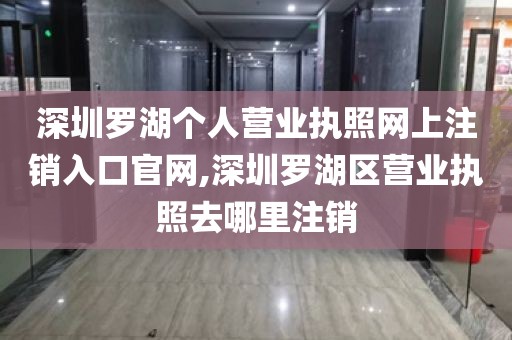 深圳罗湖个人营业执照网上注销入口官网,深圳罗湖区营业执照去哪里注销