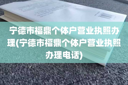 宁德市福鼎个体户营业执照办理(宁德市福鼎个体户营业执照办理电话)