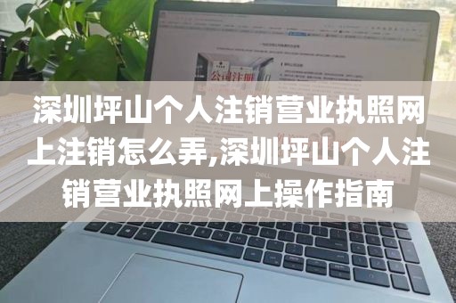 深圳坪山个人注销营业执照网上注销怎么弄,深圳坪山个人注销营业执照网上操作指南