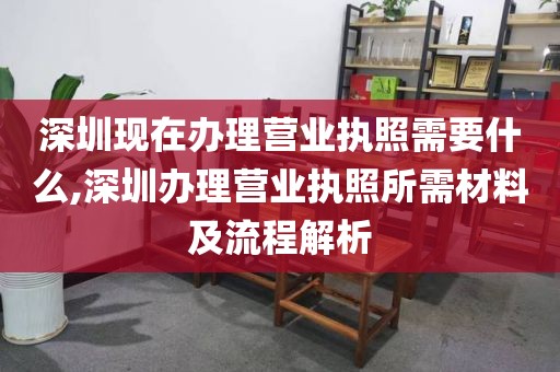 深圳现在办理营业执照需要什么,深圳办理营业执照所需材料及流程解析