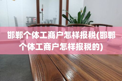 邯郸个体工商户怎样报税(邯郸个体工商户怎样报税的)