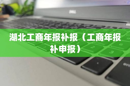 湖北工商年报补报（工商年报补申报）