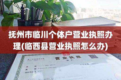 抚州市临川个体户营业执照办理(临西县营业执照怎么办)