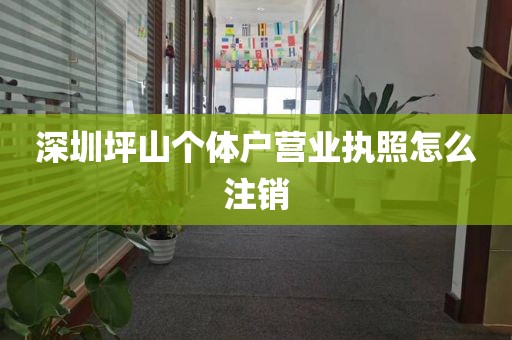 深圳坪山个体户营业执照怎么注销