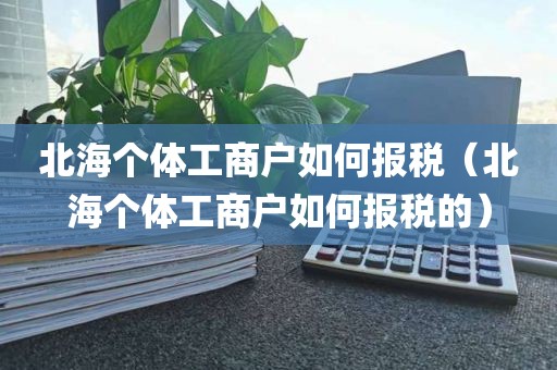 北海个体工商户如何报税（北海个体工商户如何报税的）