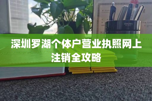 深圳罗湖个体户营业执照网上注销全攻略