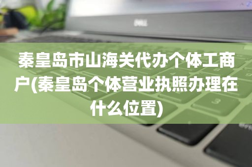 秦皇岛市山海关代办个体工商户(秦皇岛个体营业执照办理在什么位置)