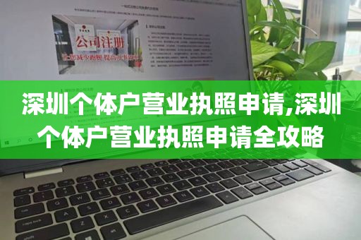 深圳个体户营业执照申请,深圳个体户营业执照申请全攻略