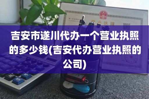 吉安市遂川代办一个营业执照的多少钱(吉安代办营业执照的公司)