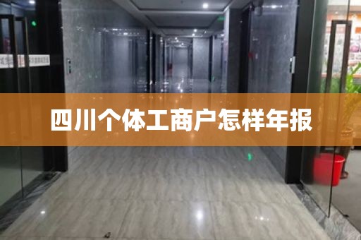 四川个体工商户怎样年报