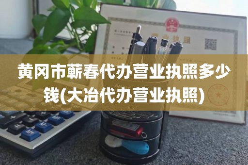 黄冈市蕲春代办营业执照多少钱(大冶代办营业执照)