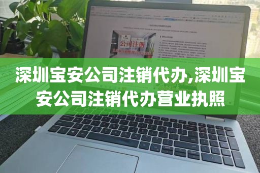 深圳宝安公司注销代办,深圳宝安公司注销代办营业执照