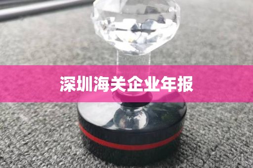 深圳海关企业年报