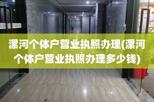 漯河个体户营业执照办理(漯河个体户营业执照办理多少钱)