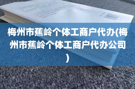 梅州市蕉岭个体工商户代办(梅州市蕉岭个体工商户代办公司)
