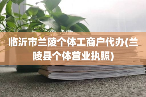 临沂市兰陵个体工商户代办(兰陵县个体营业执照)