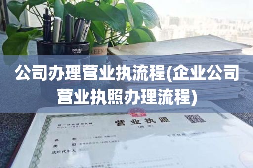 公司办理营业执流程(企业公司营业执照办理流程)