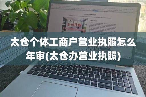 太仓个体工商户营业执照怎么年审(太仓办营业执照)