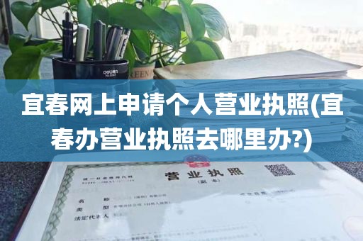 宜春网上申请个人营业执照(宜春办营业执照去哪里办?)